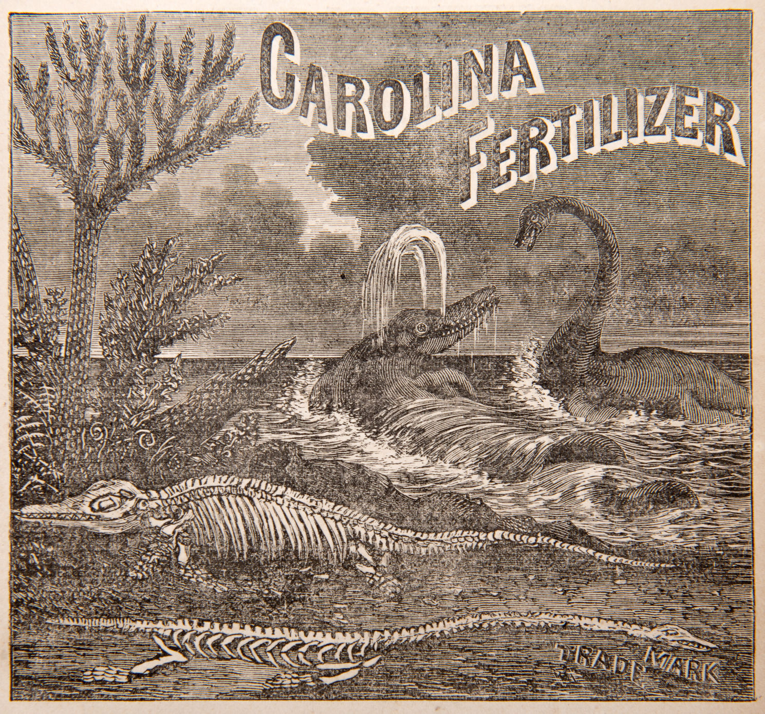 Phosphate ad, Historical
